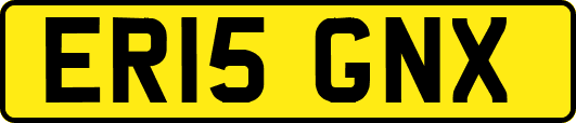 ER15GNX