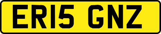 ER15GNZ