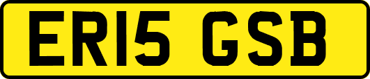 ER15GSB
