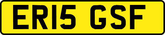 ER15GSF