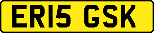 ER15GSK