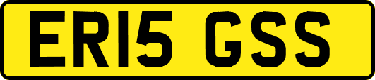 ER15GSS