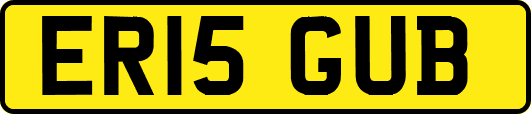 ER15GUB