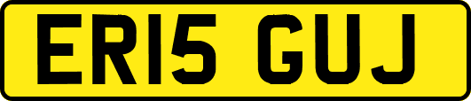 ER15GUJ