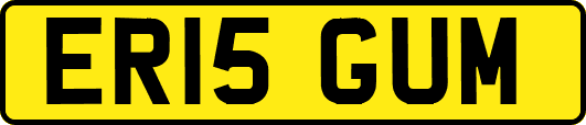 ER15GUM