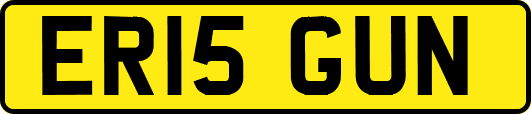 ER15GUN