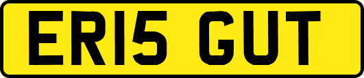 ER15GUT