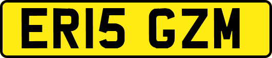 ER15GZM