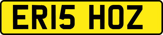 ER15HOZ