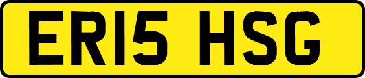 ER15HSG