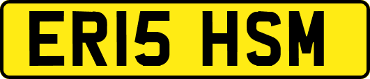 ER15HSM