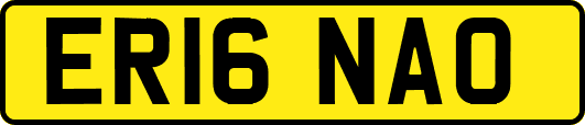 ER16NAO
