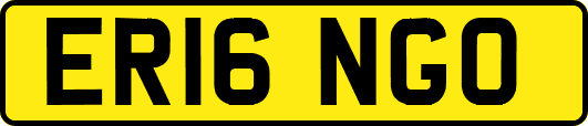 ER16NGO