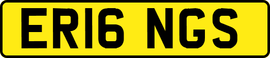ER16NGS