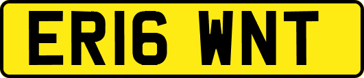 ER16WNT