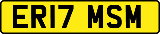 ER17MSM