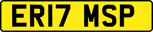 ER17MSP