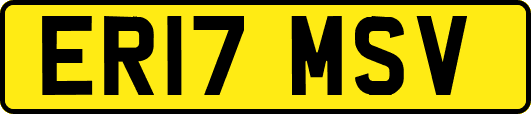 ER17MSV