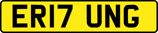 ER17UNG