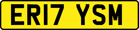 ER17YSM