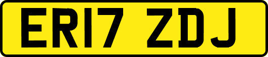 ER17ZDJ