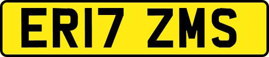 ER17ZMS