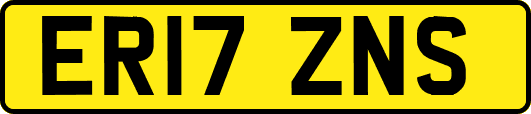 ER17ZNS