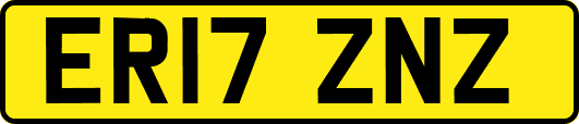 ER17ZNZ