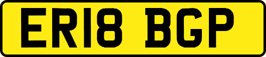 ER18BGP