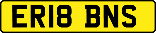 ER18BNS