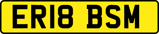 ER18BSM
