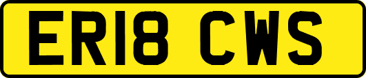 ER18CWS