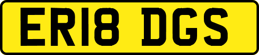 ER18DGS