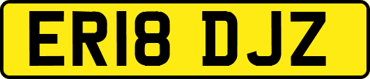 ER18DJZ