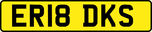 ER18DKS