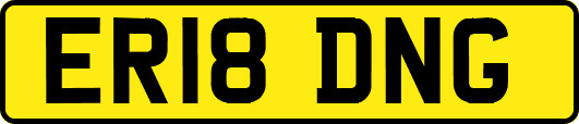 ER18DNG