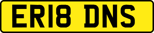 ER18DNS