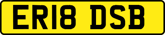 ER18DSB
