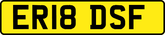 ER18DSF