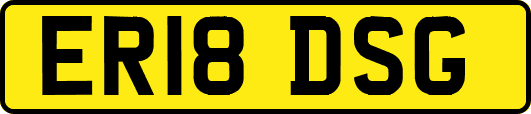ER18DSG