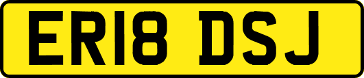 ER18DSJ