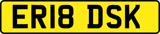 ER18DSK