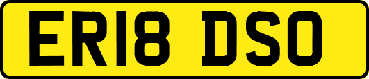 ER18DSO