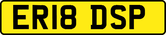 ER18DSP