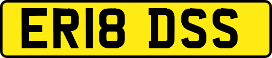 ER18DSS