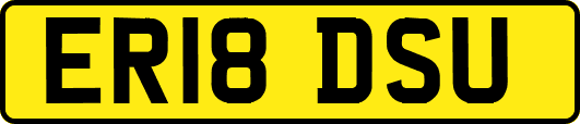 ER18DSU