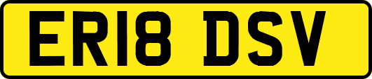 ER18DSV