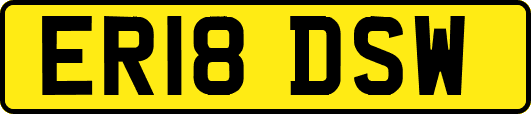 ER18DSW