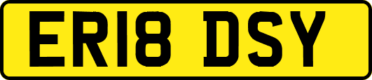 ER18DSY