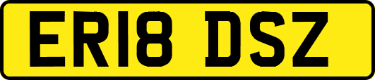 ER18DSZ